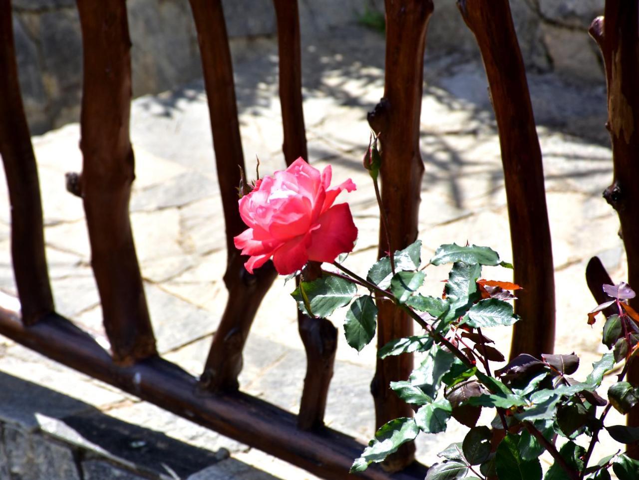 Ornateview Hotel Procida Dış mekan fotoğraf